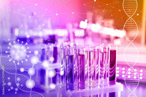 Test tubes with colorful samples in laboratory