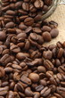 fresh coffee bean to grind 