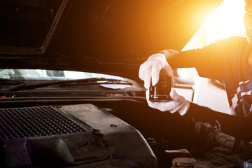 Wall Mural - Close up hands of unrecognizable mechanic doing car service and maintenance. Oil and fuel filter changing.