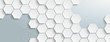 White Hexagon Structure Grey Edges Header