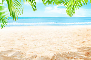 Sandy beach with green palm branches and wave on the sea