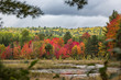 Marshland with colors of indian summer in Renfrew County, Ontario, Canada