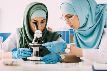 focused female muslim scientists in hijab using microscope during experiment in chemical laboratory