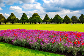 Wall Mural - Spring flowers in Hampton court garden, London, UK