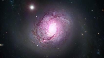 Wall Mural - Spiral galaxy rotating in outer space pink on star field. Contains public domain image by Nasa