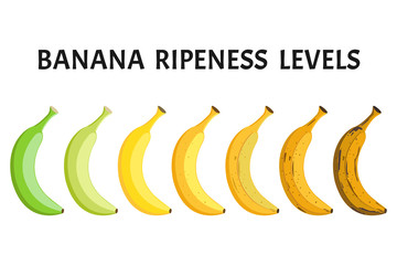 Wall Mural - Banana ripeness levels vector set isolated on white background