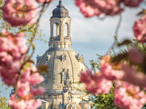 Fototapeta Big Ben - Frauenkirche Dresden im Frühling
