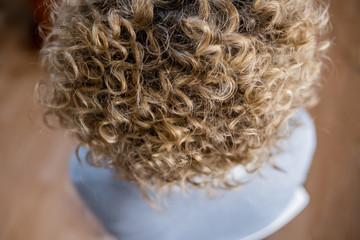 Wall Mural - blonde hair curls close-up in beauty salon