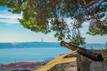 Old Cannon Under A Tree On The Wall Of The Castle Of St. George In Lisbon, Portugal. View Of The River Tagus / Rio Tejo And The Statue Of Christ