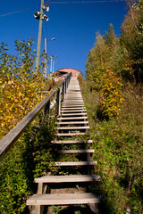 Long wood stairs up to top of bush-covered hill.