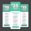 Premium Pricing and Membership Graphic w Different Options and Plans
