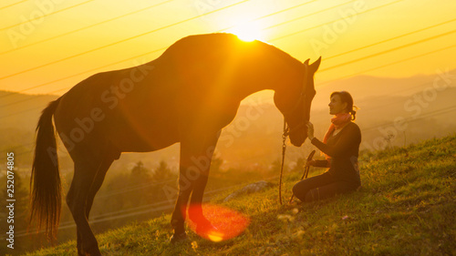 Cuadros en Lienzo SILHOUETTE: Big horse walking up to its owner while grazing in a green pasture
