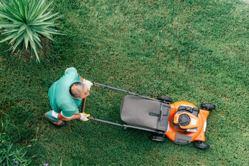 Lawnmower mows the green grass top view. Garden care.