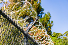 Razor Barbed Wire Security Fence, California
