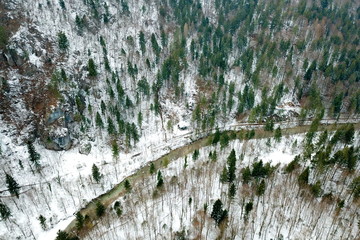 Poster - Snowy forest from the sky