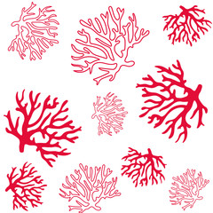 beautiful coral pattern illustration