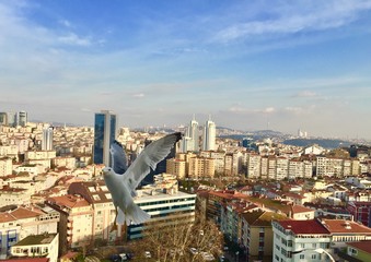 Wall Mural - Istanbul city view at sunset