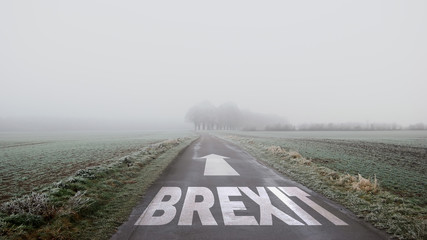 Schild 402 - Brexit