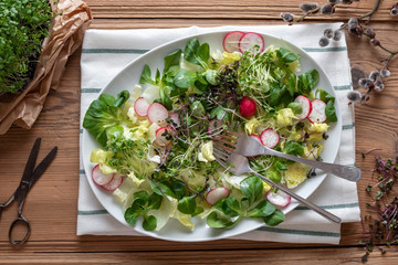 Wall Mural - Salad with radishes and fresh broccoli and kale microgreens