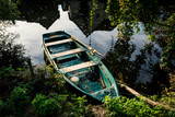 Fototapeta Na sufit - single green boat with leaves and house reflections