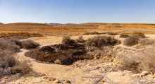 An Ancient Nabataean Waterhole