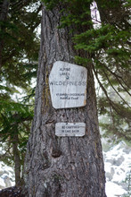Information Sign On Tree Trunk In Forest