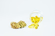 © nokturnal - Medizinische Cannabis Öl Kapseln