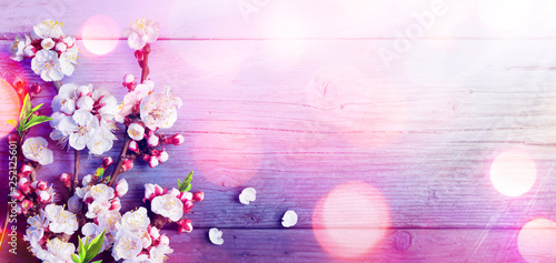 Spring - Trend Colors Palette - Pink Blossoms On Rustic Wood