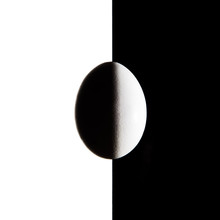 Egg Isolated On Black And White Background