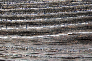 Wall Mural - closeup of textured spruce plank