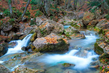 Wall Mural - Moss-covered stones and flowing water in the mountains on an autumn afternoon, very beautiful nature