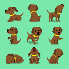 Vector Cartoon Character Brown Labrador Dog Poses For Design.