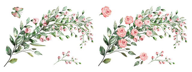 watercolor drawing of twig with leaves and flowers. botanical illustration .composition of pink rose