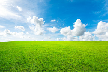 green grass and blue sky with white clouds