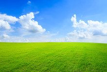 Green Grass And Blue Sky With White Clouds