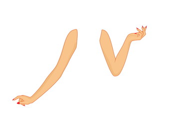 part of the body - left and right women`s arm - straight arm and bent arm