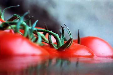 Closeup of tomatoes floating in water