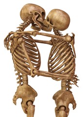 Wall Mural - Skeletons of man and woman in the pose of lovers. Isolated on white background 3d illustration