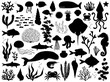 © lynea - Sea life vector silhouette illustration set