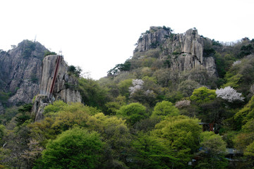 Wall Mural - spring mountain