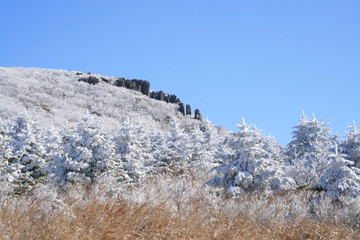 Wall Mural - winter mountain landscape