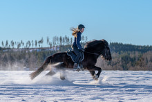 Swedish Girl Riding Her Icelandic Horse In Deep Snow