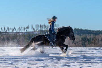 Swedish girl riding her Icelandic horse in deep snow