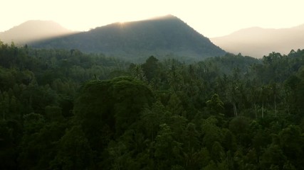 Fototapete - Dawn over a rainforest