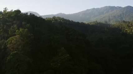 Fototapete - Dawn over a rainforest