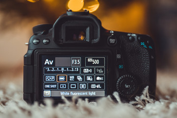Camera screen