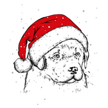 The Puppy In The Christmas Hat. Santa Claus Dog. New Year And Christmas, Winter Holidays. Vector Illustration For Postcard, Or Print On Clothes. 