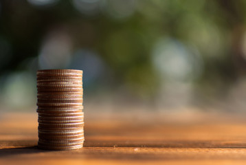 Coins arranged vertically on wood plank and tree bokeh background , Saving and growing business concept, selective and soft focus.