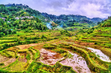 Canvas Print - Banaue Rice Terraces - northern Luzon, UNESCO world heritage in Philippines.