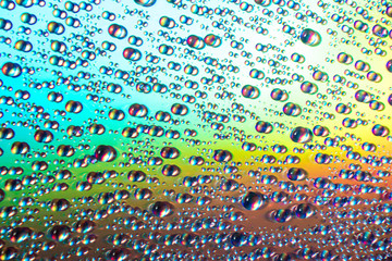 Wall Mural - water drops on dvd media, water drops on colorful background